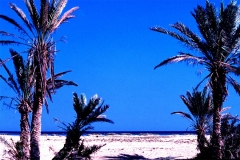 01_spiaggia-a-Jeddah