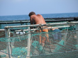 Sea Farm Corfu - June '11